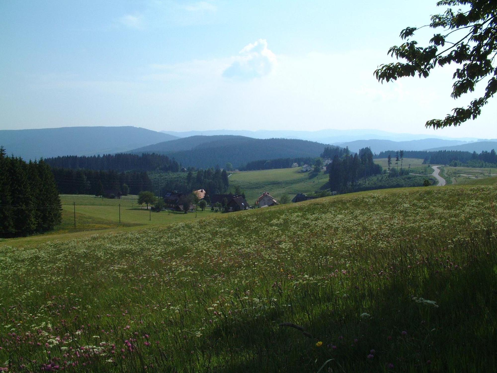 Cafe-Pension Feldbergblick Титизее-Нойщат Екстериор снимка