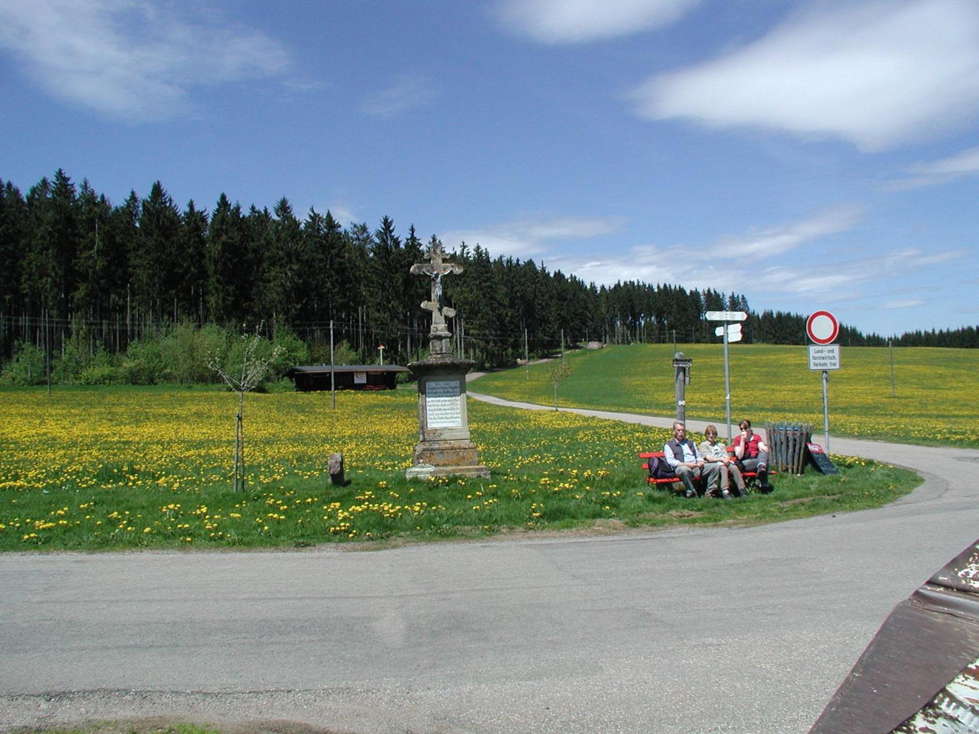 Cafe-Pension Feldbergblick Титизее-Нойщат Екстериор снимка