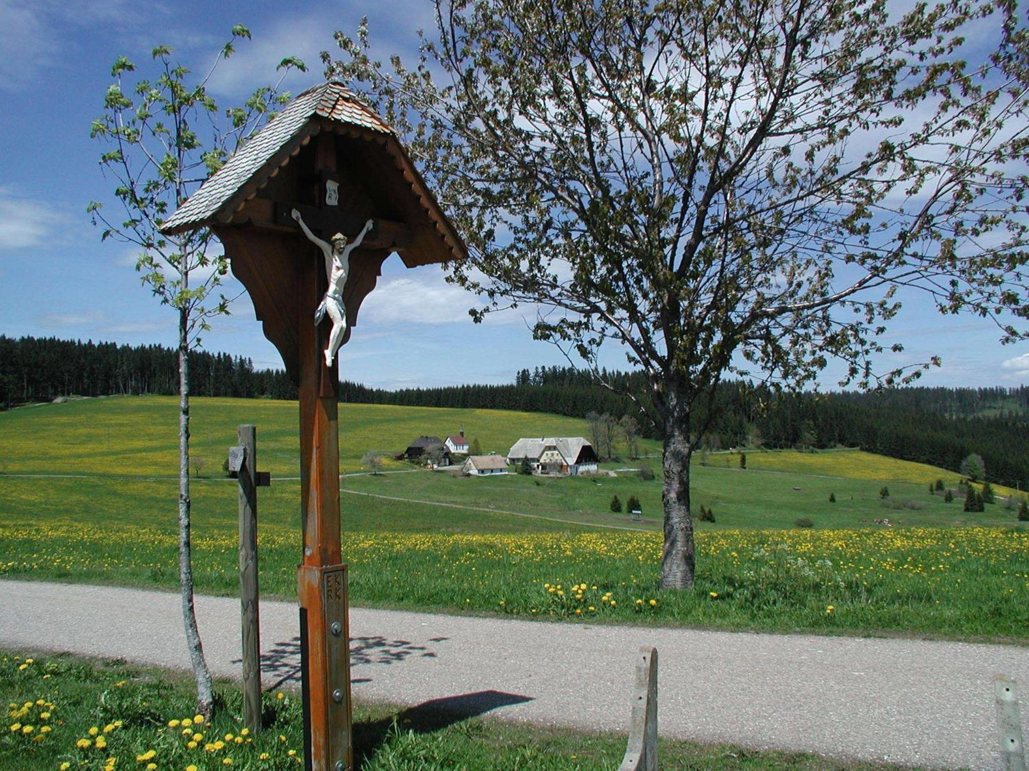 Cafe-Pension Feldbergblick Титизее-Нойщат Екстериор снимка